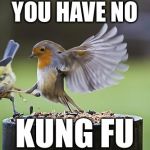 Kicking Sparrow | YOU HAVE NO; KUNG FU | image tagged in bird sparta | made w/ Imgflip meme maker