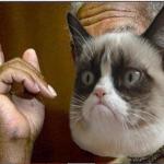 Grumpy Cat He's Right You Know meme