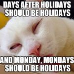 drunk cat boeing | DAYS AFTER HOLIDAYS SHOULD BE HOLIDAYS; AND MONDAY, MONDAYS SHOULD BE HOLIDAYS | image tagged in drunk cat boeing | made w/ Imgflip meme maker