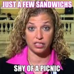 Debbie Wasserman Schultz | JUST A FEW SANDWICHS; SHY OF A PICNIC | image tagged in debbie wasserman schultz | made w/ Imgflip meme maker