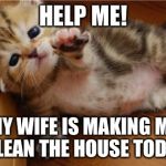 Help Me Kitten | HELP ME! MY WIFE IS MAKING ME CLEAN THE HOUSE TODAY | image tagged in help me kitten,memes | made w/ Imgflip meme maker