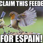Hernan Cortes Pizarro Sparrownado | I CLAIM THIS FEEDER; FOR ESPAIN! | image tagged in bird sparta | made w/ Imgflip meme maker