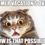 horrified cat | SUMMER VACATION'S OVER?! HOW IS THAT POSSIBLE?! | image tagged in horrified cat | made w/ Imgflip meme maker