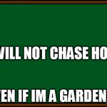 simpsons chalkboard sketch | I WILL NOT CHASE HOES; EVEN IF IM A GARDENER | image tagged in simpsons chalkboard sketch,comics/cartoons,funny memes,memes | made w/ Imgflip meme maker