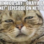 Sleepy Cat | WHEN YOU SAY: "OKAY A LAST ONE!" (EPISODE ON NETFLIX) | image tagged in sleepy cat | made w/ Imgflip meme maker