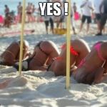 Bottom up ! | YES ! | image tagged in head in sand,meme,sexy girl on beach,beachpeace,bikini,day at the beach | made w/ Imgflip meme maker