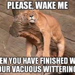 Tired Lion | PLEASE, WAKE ME; WHEN YOU HAVE FINISHED WITH YOUR VACUOUS WITTERINGS. | image tagged in tired lion | made w/ Imgflip meme maker