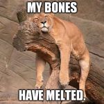 Tired Lion | MY BONES; HAVE MELTED. | image tagged in tired lion | made w/ Imgflip meme maker