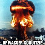 Wasser-Schultz gets Klinked! | FEEL THE BERN! OF WASSER-SCHULTZIE IN A BIKINI! | image tagged in atomic explosion | made w/ Imgflip meme maker