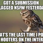 omwowl | GOT A SUBMISSION  FLAGGED NSFW YESTERDAY; THAT'S THE LAST TIME I POST MY HOOTERS ON THE INTERNET | image tagged in omwowl | made w/ Imgflip meme maker