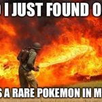 Finally figured out why it looks like a Bernie convention out there. | SO I JUST FOUND OUT; THERES A RARE POKEMON IN MY YARD | image tagged in nope flamethrower,memes,pokemon,pokemon go | made w/ Imgflip meme maker