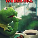 Kermit talks Real Talk | HILLARY CLINTON IS A REAL P.O.S. AND THAT IS MY BUSINESS | image tagged in kermit talks real talk | made w/ Imgflip meme maker