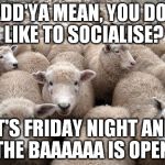 Sheep | WADD'YA MEAN, YOU DON'T LIKE TO SOCIALISE? IT'S FRIDAY NIGHT AND THE BAAAAAA IS OPEN. | image tagged in sheep | made w/ Imgflip meme maker