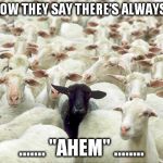 black sheep | YOU KNOW THEY SAY THERE'S ALWAYS 'ONE'? ....... "AHEM" ........ | image tagged in black sheep | made w/ Imgflip meme maker