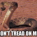 snake bite  | DON'T TREAD ON ME | image tagged in snake bite | made w/ Imgflip meme maker