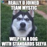 Bullshit husky | REALLY U JOINED TEAM MYSTIC; WELP I'M A DOG WITH STANDARDS SEEYA | image tagged in bullshit husky | made w/ Imgflip meme maker