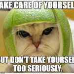 Romelon Cat disapproves | TAKE CARE OF YOURSELF, BUT DON'T TAKE YOURSELF TOO SERIOUSLY. | image tagged in romelon cat disapproves | made w/ Imgflip meme maker