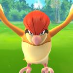 Judgmental Pidgeotto