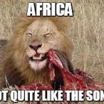 Africa - Song | AFRICA; NOT QUITE LIKE THE SONG | image tagged in lion,toto,prey,africa | made w/ Imgflip meme maker