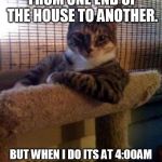 cats | I DON'T ALWAYS RUN FROM ONE END OF THE HOUSE TO ANOTHER. BUT WHEN I DO ITS AT 4:00AM AS LOUDLY AS POSSIBLE AND FOR NO APPARENT REASON. | image tagged in cats | made w/ Imgflip meme maker