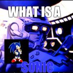 Sonic? On my ship? | WHAT IS A; SONIC | image tagged in dodonpachi pilot,sonic | made w/ Imgflip meme maker