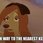 Which Way To The Nearest Kennel? | WHICH WAY TO THE NEAREST KENNEL? | image tagged in dixie exhausted,memes,disney,the fox and the hound 2,reba mcentire,dog | made w/ Imgflip meme maker