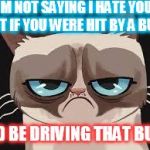 Grumpy Cat Cartoon | I`M NOT SAYING I HATE YOU, BUT IF YOU WERE HIT BY A BUS, I`D BE DRIVING THAT BUS. | image tagged in grumpy cat cartoon | made w/ Imgflip meme maker