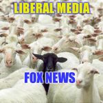 black sheep | LIBERAL MEDIA; FOX NEWS | image tagged in black sheep | made w/ Imgflip meme maker