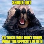 A shout out | SHOUT OUT; TO THOSE WHO DON'T KNOW WHAT THE OPPOSITE OF IN IS | image tagged in shouting otter,puns | made w/ Imgflip meme maker
