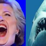 Hillary Shark