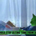 I Should Buy a Boat RayCat | I SHOULD STOP EATING TUNA FROM JAPAN | image tagged in i should buy a boat raycat,fukushima,radioactive | made w/ Imgflip meme maker