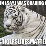 White Tiger | WHAT CAN I SAY,I WAS CRAVING CHINESE! #TIGERSLIVESMATTER | image tagged in white tiger | made w/ Imgflip meme maker