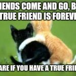 bff FOREVER | FRIENDS COME AND GO, BUT A TRUE FRIEND IS FOREVER! SHARE IF YOU HAVE A TRUE FRIEND | image tagged in bff forever | made w/ Imgflip meme maker