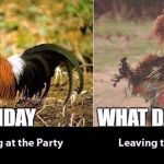 before and after | ITS FRIDAY                WHAT DAY IS IT | image tagged in before and after | made w/ Imgflip meme maker