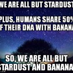 Stardust and Bananas | "WE ARE ALL BUT STARDUST"; PLUS, HUMANS SHARE 50% OF THEIR DNA WITH BANANAS; SO, WE ARE ALL BUT STARDUST AND BANANAS | image tagged in stars,bananas | made w/ Imgflip meme maker
