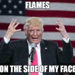 Angry Trump | FLAMES; ON THE SIDE OF MY FACE | image tagged in angry trump | made w/ Imgflip meme maker