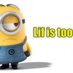 Life is too short | Lif is too short | image tagged in minions | made w/ Imgflip meme maker