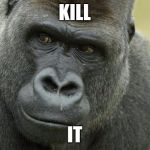 Gorilla birthday | KILL; IT | image tagged in gorilla birthday | made w/ Imgflip meme maker