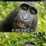 bad pun monkey | WHAT KIND OF KEY OPENS A BANANA; A MONKEY | image tagged in bad pun monkey,memes,funny,funny meme,monkey,banana | made w/ Imgflip meme maker