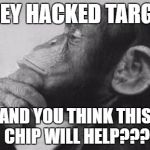 chip card | THEY HACKED TARGET; AND YOU THINK THIS CHIP WILL HELP??? | image tagged in chip card | made w/ Imgflip meme maker
