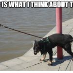 Dog peeing | THIS IS WHAT I THINK ABOUT THAT! | image tagged in dog peeing | made w/ Imgflip meme maker