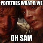 Lord of the rings  | I LOST THE POTATOES WHAT R WE GONNA DO; OH SAM | image tagged in lord of the rings | made w/ Imgflip meme maker
