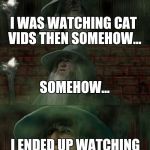 Gandalf Lost Lord of the Rings | I WAS WATCHING CAT VIDS THEN SOMEHOW... SOMEHOW... I ENDED UP WATCHING A MONKEY WITH A GUN | image tagged in gandalf lost lord of the rings | made w/ Imgflip meme maker