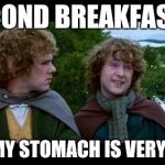 LOTR | SECOND BREAKFAST?! YEAH MY STOMACH IS VERY LARGE | image tagged in lotr | made w/ Imgflip meme maker