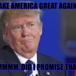 Constant state of His own confusion  | "MAKE AMERICA GREAT AGAIN?!"; "HMMMM, DID I PROMISE THAT?" | image tagged in constant state of his own confusion | made w/ Imgflip meme maker