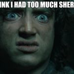 LOTR | I THINK I HAD TOO MUCH SHERBET | image tagged in lotr | made w/ Imgflip meme maker