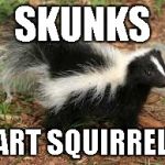 skunks = fart squirrels | SKUNKS; FART SQUIRRELS | image tagged in stoner skunk | made w/ Imgflip meme maker