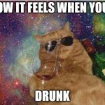 Cats n wine | HOW IT FEELS WHEN YOUR; DRUNK | image tagged in cats n wine | made w/ Imgflip meme maker