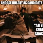 Harry Potter Sorting Hat | HOW THE DNC CHOOSE HILLARY AS CANDIDATE FOR PRESIDENT; "AH YES A REAL SNAKE IN THE GRASS SHE IS" | image tagged in harry potter sorting hat | made w/ Imgflip meme maker