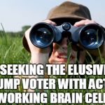 Where the heck do these creatures HIDE??? | SEEKING THE ELUSIVE TRUMP VOTER WITH ACTUAL WORKING BRAIN CELLS | image tagged in looking | made w/ Imgflip meme maker